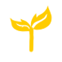 活动