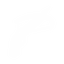 手弩